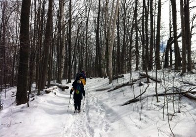 winter hike in the woods